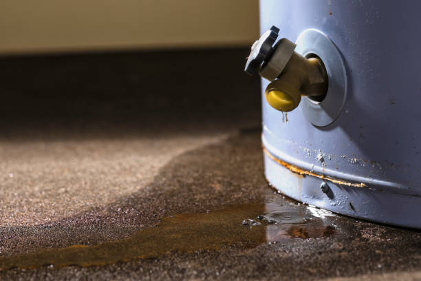 Best Water damage cleanup near me  in Voorheesville, NY