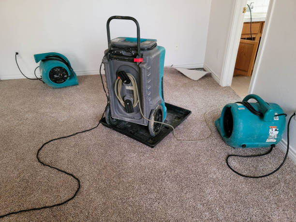 Best Ceiling water damage repair  in Voorheesville, NY