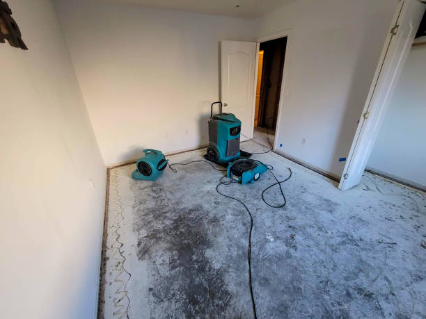 Best 24/7 water damage repair  in Voorheesville, NY