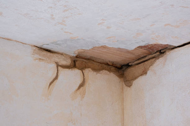 Best Basement water damage restoration  in Voorheesville, NY