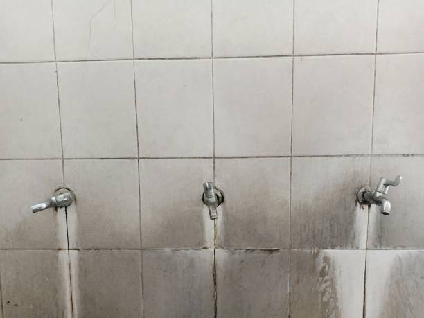 Best Flooded house restoration  in Voorheesville, NY