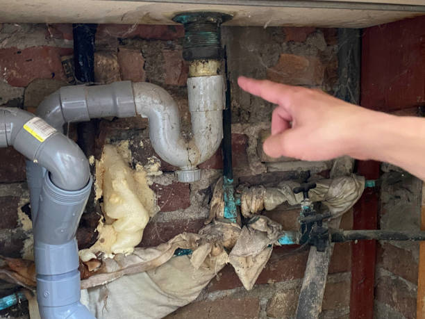 Best Mold removal after water damage  in Voorheesville, NY