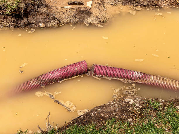 Best Water damage restoration process  in Voorheesville, NY